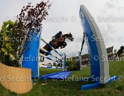DE PONNAT ARMITAGE LaBaule2013- S4 0809 : 2013, ARMITAGES BOY, DE PONNAT AMERIC, La Baule, foto di Stefano Secchi ©